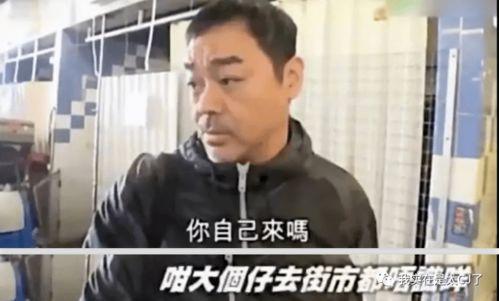 娱乐吃瓜群众明星有哪些,盘点近期热门明星动态  第3张