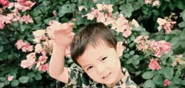 鹿晗爆料小时候视频,揭秘明星小时候的萌态瞬间